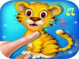 Jugar Animal touch 2 now