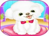 Jugar Pets day care pro