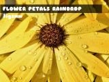 Jugar Flower petals raindrop jigsaw