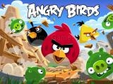 Jugar Angry bird jungle