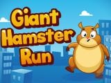 Jugar Giant hamster run now