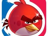 Jugar Angry bird friends now