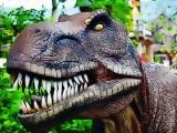Jugar Tyrannosaurus rex carnivore jigsaw now