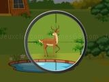 Jugar Deer hunter 2d now