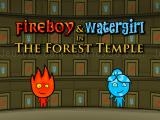 Jugar Fireboy and watergirl: forest temple now