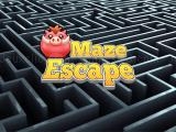 Jugar Maze escape now
