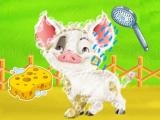 Jugar Baby taylor farm tour caring animals now