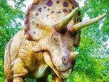 Jugar Giant triceratops puzzle now