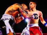 Jugar Boxing champions fight now
