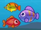 Jugar Big fish eat small fish 2 now