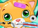 Jugar Doctor pets now