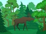 Jugar Wild animals coloring now