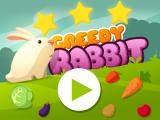 Jugar Greedy rabbit platformer now