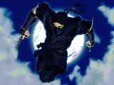 Jugar Ninja defender now