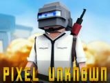Jugar Pubg  gunfight pixel now