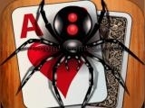 Jugar Classic spider solitaire now