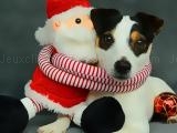Jugar Funny christmas dogs now