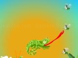 Jugar Chameleon want eat now