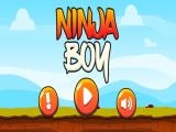 Jugar Ninja boy ! now