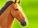 Jugar Horse run 3d now