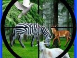 Jugar Real jungle animals hunting now