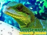 Jugar Chinese water dragon jigsaw now