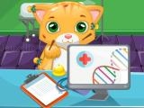 Jugar Cat doctor sim now