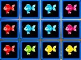 Jugar 1010 fish blocks now