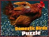 Jugar Domestic birds puzzle now