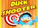 Jugar Duck shooter