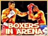 Jugar Boxers in arena
