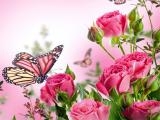 Jugar Butterflies puzzle