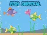 Jugar Fish survival now