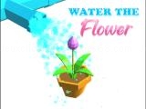 Jugar Water the flower