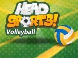 Jugar Head sports volleyball now