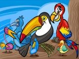 Jugar Exotic birds coloring now