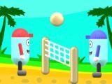 Jugar Beach volleyball now