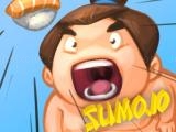 Jugar Fz sumo battle now