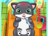 Jugar Cat doctor now