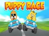 Jugar Puppy race now