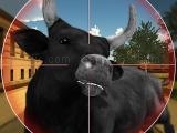 Jugar Bull shooting now