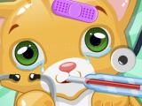 Jugar Little cat doctor now
