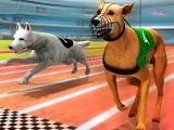 Jugar Real dog racing simulator 3d now